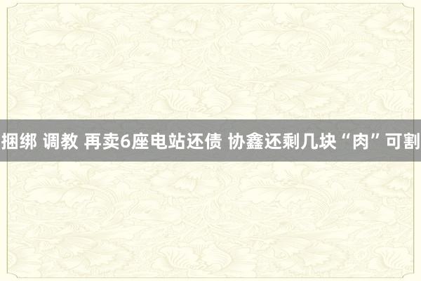 捆绑 调教 再卖6座电站还债 协鑫还剩几块“肉”可割
