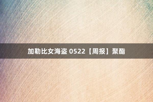 加勒比女海盗 0522【周报】聚酯