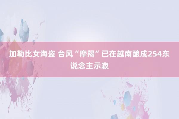 加勒比女海盗 台风“摩羯”已在越南酿成254东说念主示寂