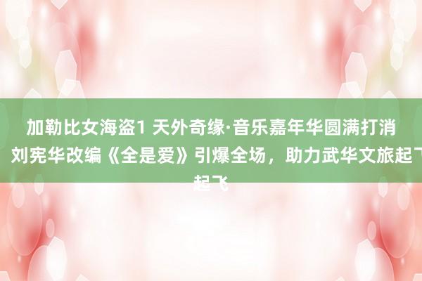 加勒比女海盗1 天外奇缘·音乐嘉年华圆满打消，刘宪华改编《全是爱》引爆全场，助力武华文旅起飞
