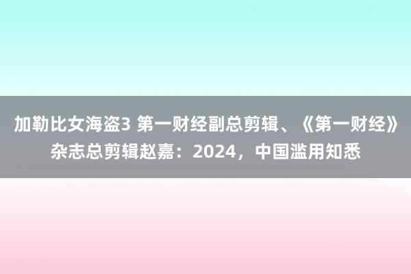 加勒比女海盗3 第一财经副总剪辑、《第一财经》杂志总剪辑赵嘉:2024,中国滥用知悉