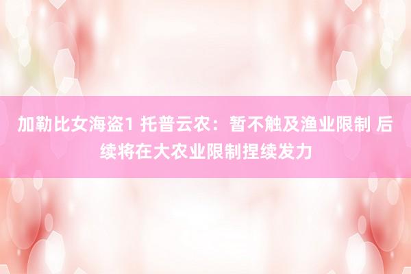 加勒比女海盗1 托普云农：暂不触及渔业限制 后续将在大农业限制捏续发力