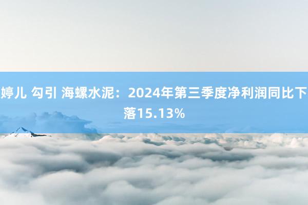 婷儿 勾引 海螺水泥：2024年第三季度净利润同比下落15.13%
