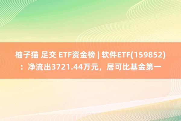 柚子猫 足交 ETF资金榜 | 软件ETF(159852)：净流出3721.44万元，居可比基金第一