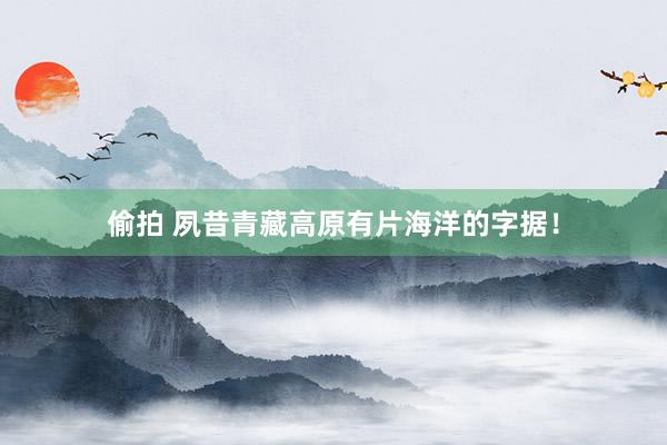 偷拍 夙昔青藏高原有片海洋的字据!
