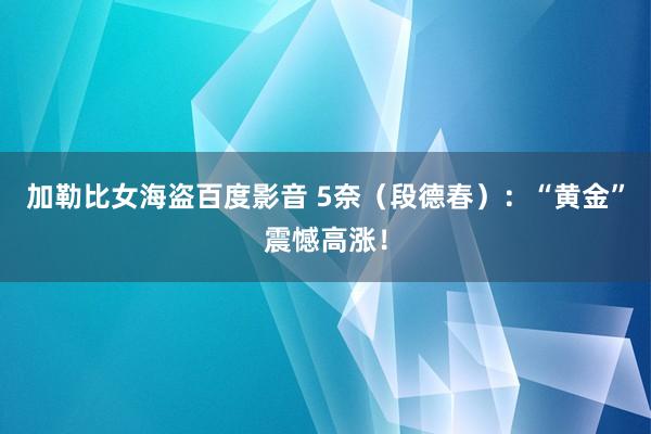 加勒比女海盗百度影音 5奈（段德春）：“黄金”震憾高涨！