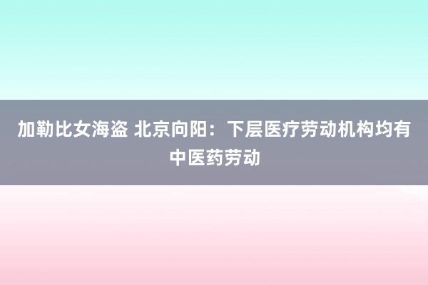 加勒比女海盗 北京向阳：下层医疗劳动机构均有中医药劳动