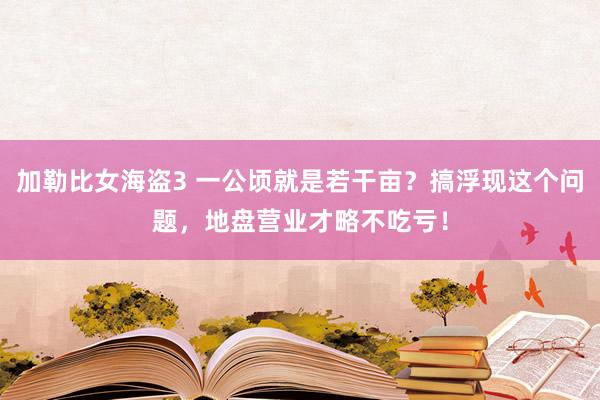 加勒比女海盗3 一公顷就是若干亩？搞浮现这个问题，地盘营业才略不吃亏！