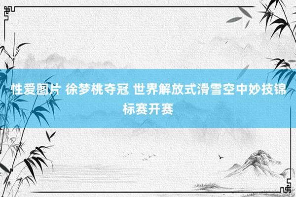 性爱图片 徐梦桃夺冠 世界解放式滑雪空中妙技锦标赛开赛