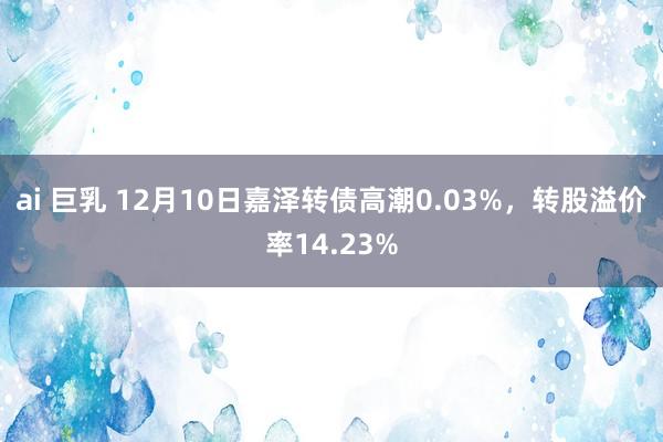 ai 巨乳 12月10日嘉泽转债高潮0.03%，转股溢价率14.23%