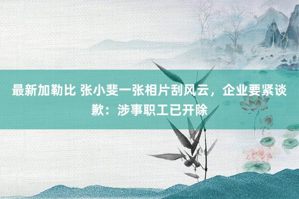 最新加勒比 张小斐一张相片刮风云，企业要紧谈歉：涉事职工已开除
