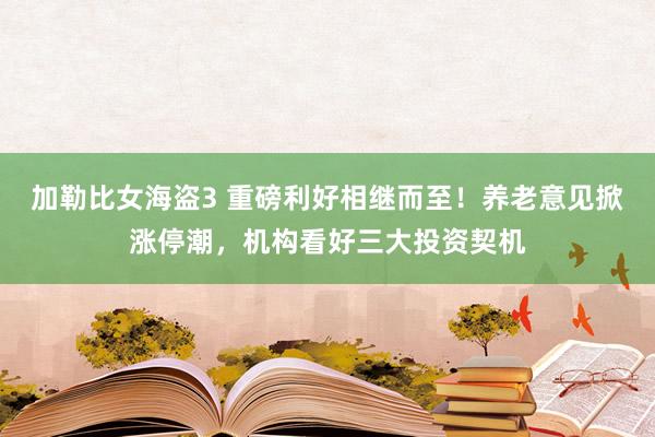 加勒比女海盗3 重磅利好相继而至！养老意见掀涨停潮，机构看好三大投资契机