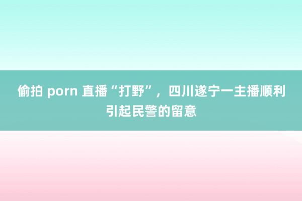 偷拍 porn 直播“打野”，四川遂宁一主播顺利引起民警的留意