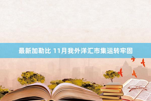 最新加勒比 11月我外洋汇市集运转牢固