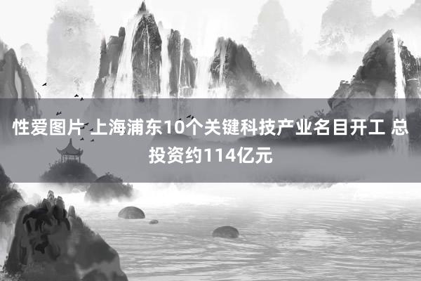 性爱图片 上海浦东10个关键科技产业名目开工 总投资约114亿元