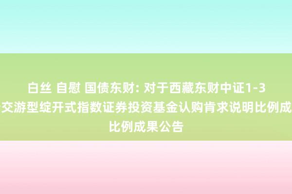 白丝 自慰 国债东财: 对于西藏东财中证1-3年国债交游型绽开式指数证券投资基金认购肯求说明比例成果公告