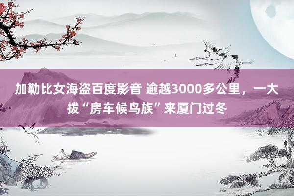 加勒比女海盗百度影音 逾越3000多公里，一大拨“房车候鸟族”来厦门过冬