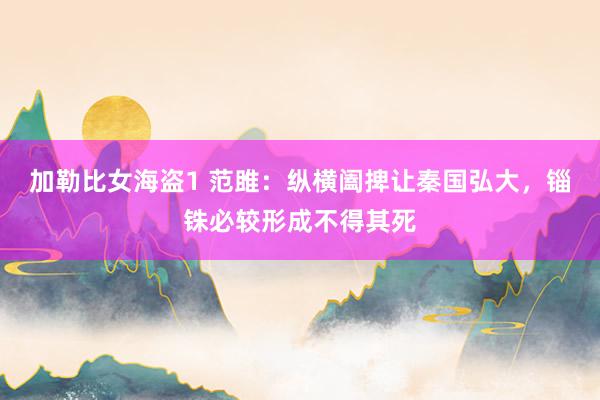加勒比女海盗1 范雎：纵横阖捭让秦国弘大，锱铢必较形成不得其死