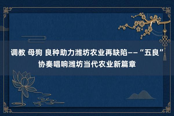 调教 母狗 良种助力潍坊农业再缺陷——“五良”协奏唱响潍坊当代农业新篇章