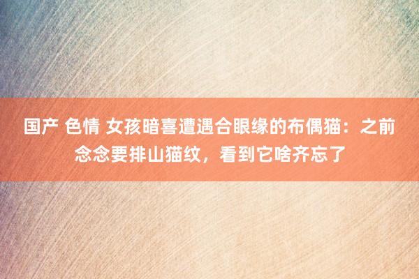 国产 色情 女孩暗喜遭遇合眼缘的布偶猫：之前念念要排山猫纹，看到它啥齐忘了