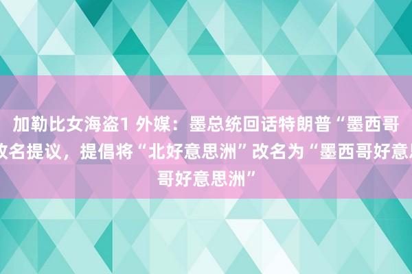 加勒比女海盗1 外媒：墨总统回话特朗普“墨西哥湾”改名提议，提倡将“北好意思洲”改名为“墨西哥好意思洲”