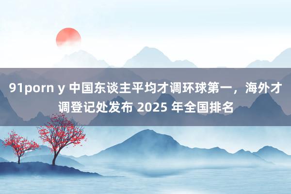 91porn y 中国东谈主平均才调环球第一,海外才调登记处发布 2025 年全国排名