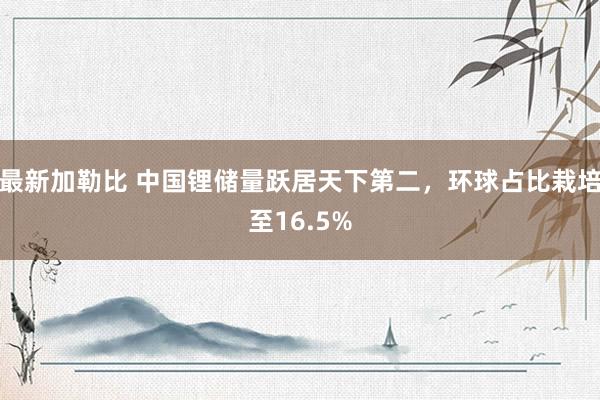 最新加勒比 中国锂储量跃居天下第二，环球占比栽培至16.5%