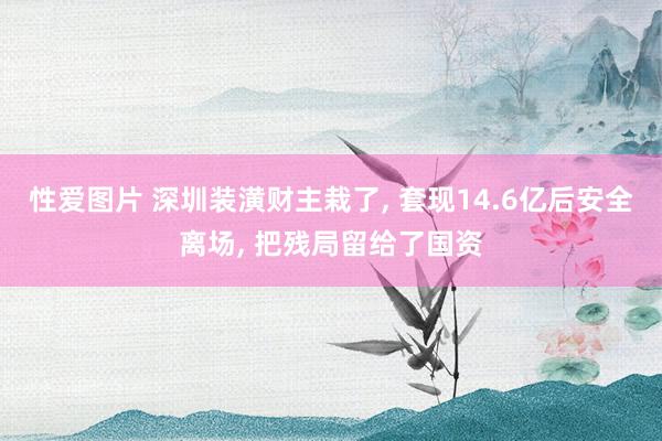 性爱图片 深圳装潢财主栽了， 套现14.6亿后安全离场， 把残局留给了国资