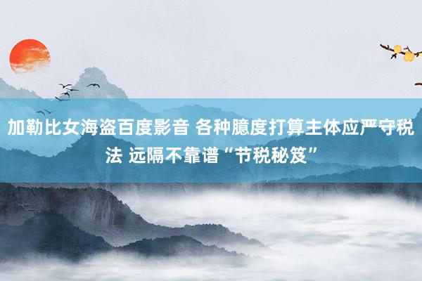 加勒比女海盗百度影音 各种臆度打算主体应严守税法 远隔不靠谱“节税秘笈”