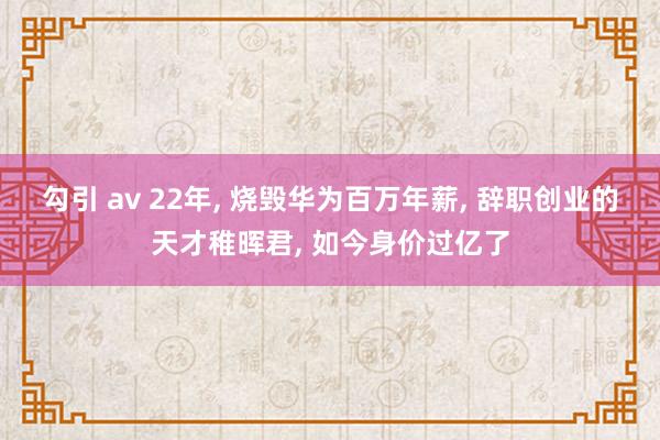 勾引 av 22年， 烧毁华为百万年薪， 辞职创业的天才稚晖君， 如今身价过亿了