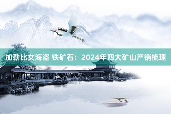 加勒比女海盗 铁矿石：2024年四大矿山产销梳理