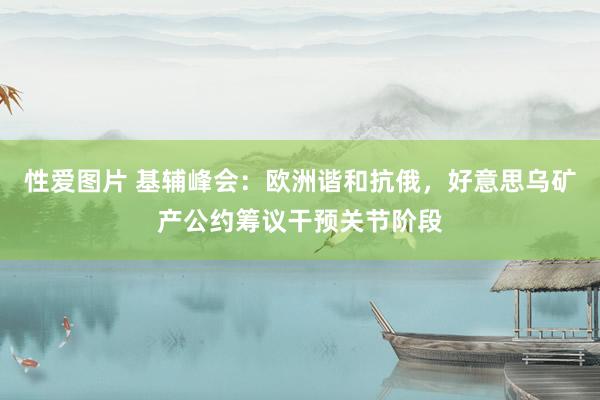 性爱图片 基辅峰会：欧洲谐和抗俄，好意思乌矿产公约筹议干预关节阶段