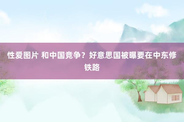 性爱图片 和中国竞争？好意思国被曝要在中东修铁路