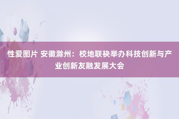 性爱图片 安徽滁州：校地联袂举办科技创新与产业创新友融发展大会