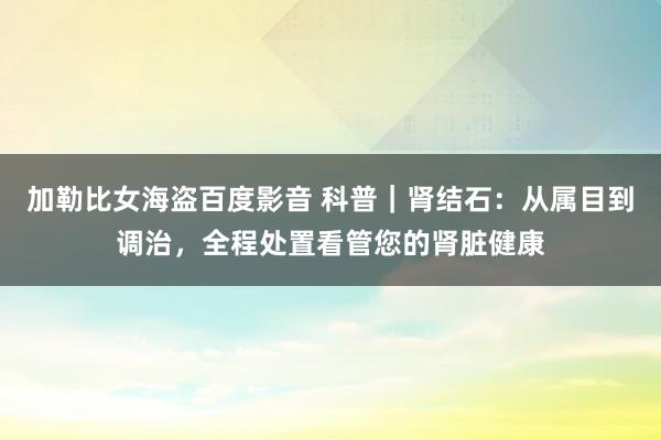 加勒比女海盗百度影音 科普｜肾结石：从属目到调治，全程处置看管您的肾脏健康