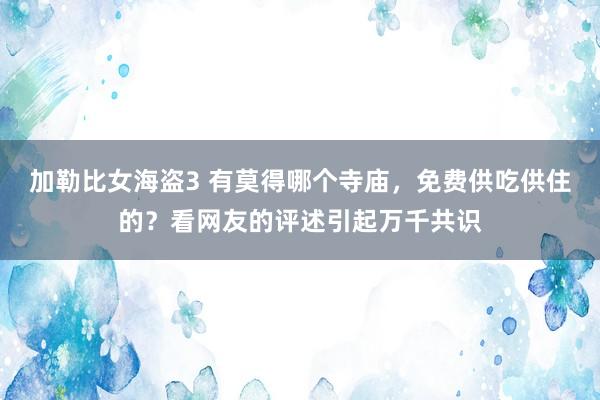 加勒比女海盗3 有莫得哪个寺庙，免费供吃供住的？看网友的评述引起万千共识