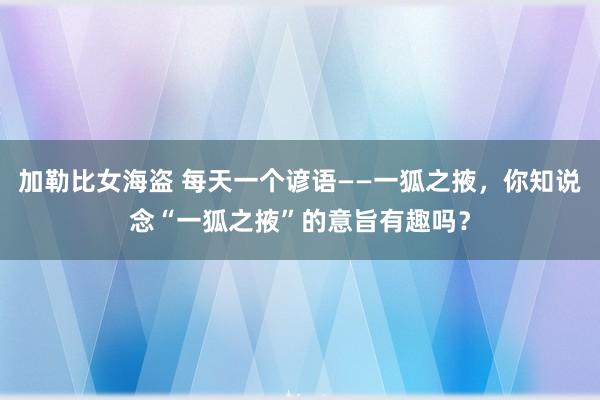 加勒比女海盗 每天一个谚语——一狐之掖，你知说念“一狐之掖”的意旨有趣吗？