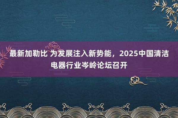 最新加勒比 为发展注入新势能，2025中国清洁电器行业岑岭论坛召开