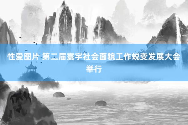 性爱图片 第二届寰宇社会面貌工作蜕变发展大会举行