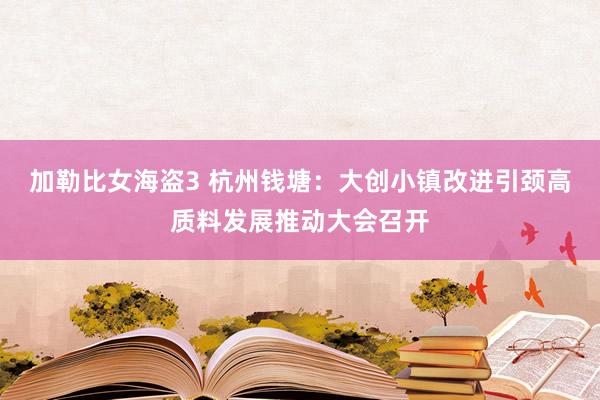 加勒比女海盗3 杭州钱塘：大创小镇改进引颈高质料发展推动大会召开
