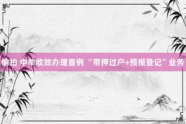 偷拍 中牟收效办理首例 “带押过户+预报登记”业务