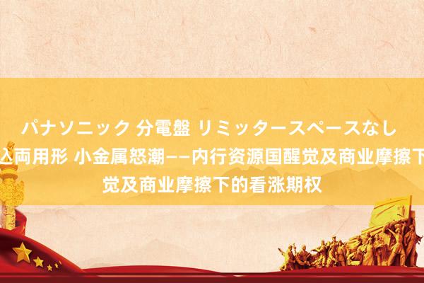 パナソニック 分電盤 リミッタースペースなし 露出・半埋込両用形 小金属怒潮——内行资源国醒觉及商业摩擦下的看涨期权