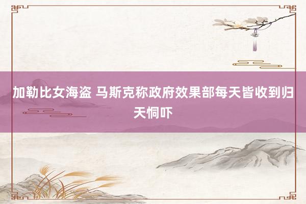 加勒比女海盗 马斯克称政府效果部每天皆收到归天恫吓