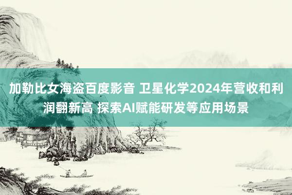加勒比女海盗百度影音 卫星化学2024年营收和利润翻新高 探索AI赋能研发等应用场景