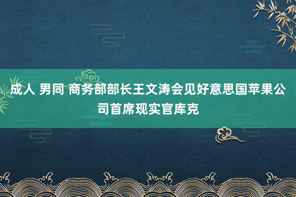 成人 男同 商务部部长王文涛会见好意思国苹果公司首席现实官库克