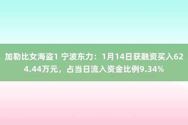 加勒比女海盗1 宁波东力：1月14日获融资买入624.44万元，占当日流入资金比例9.34%