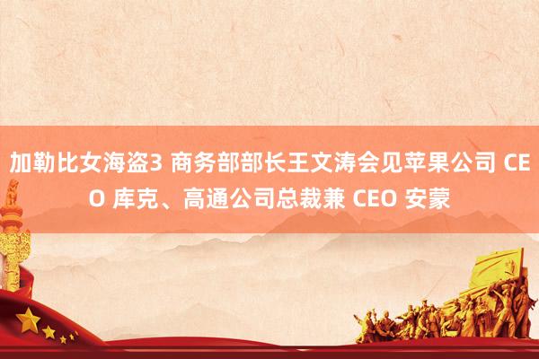 加勒比女海盗3 商务部部长王文涛会见苹果公司 CEO 库克、高通公司总裁兼 CEO 安蒙