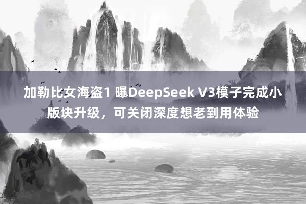 加勒比女海盗1 曝DeepSeek V3模子完成小版块升级，可关闭深度想老到用体验