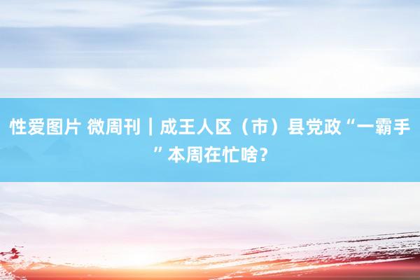 性爱图片 微周刊｜成王人区（市）县党政“一霸手”本周在忙啥？