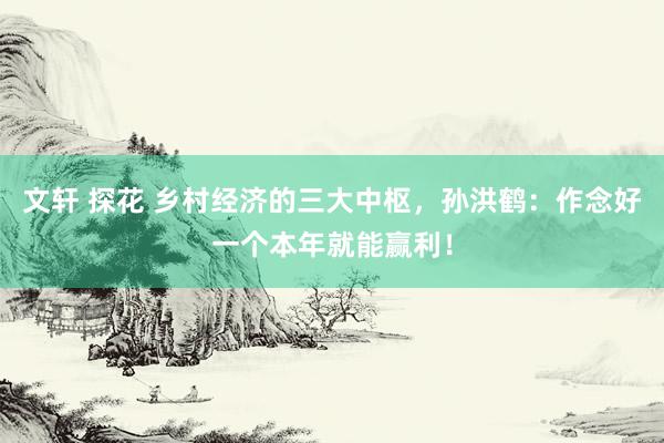 文轩 探花 乡村经济的三大中枢，孙洪鹤：作念好一个本年就能赢利！